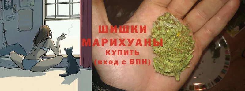 купить  цена  Белозерск  Бошки Шишки White Widow 